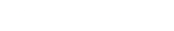 Wellness Collective US